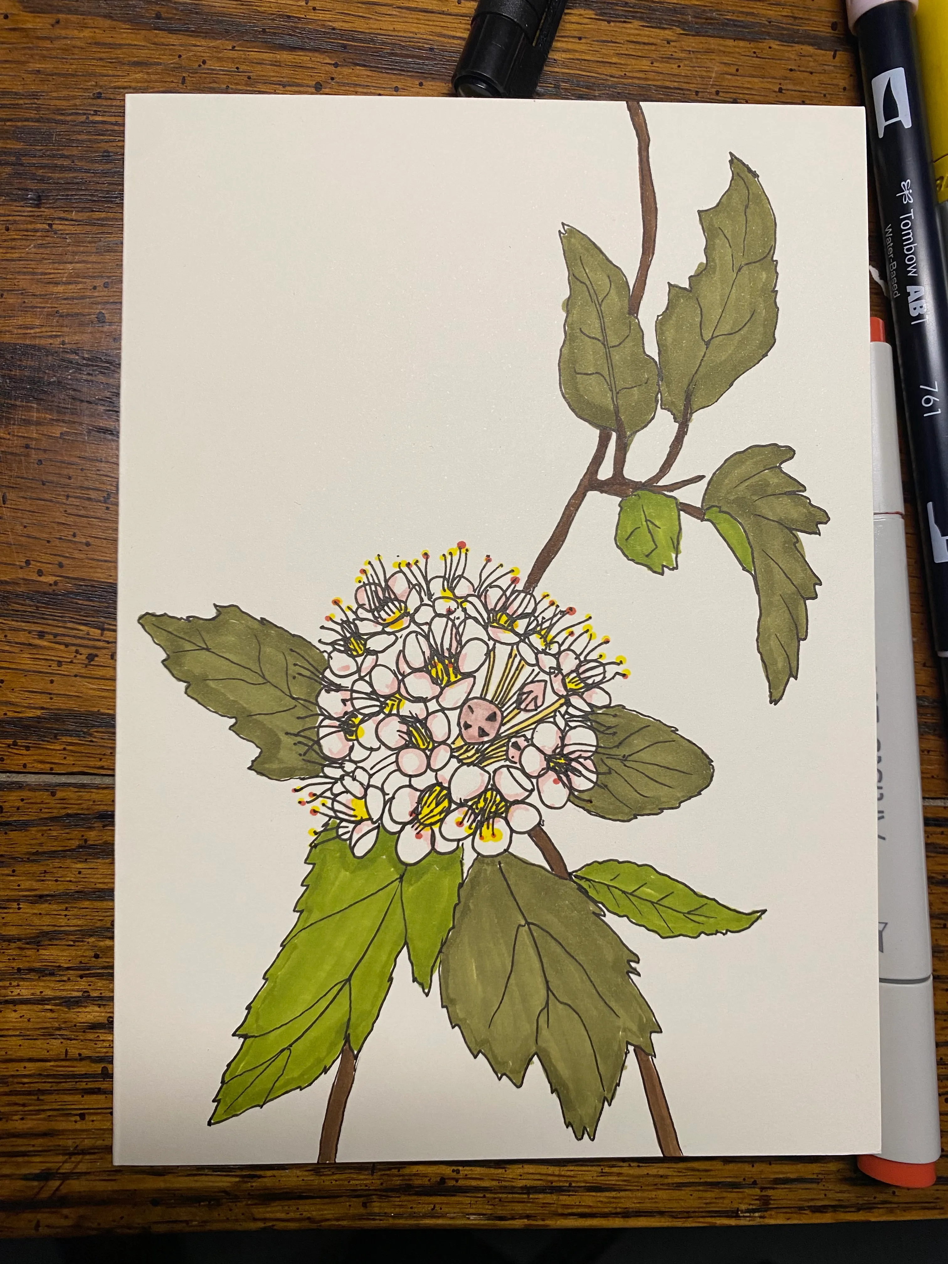Flowers (1)